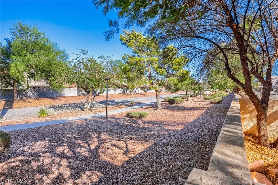 3692 Copper Cactus Drive