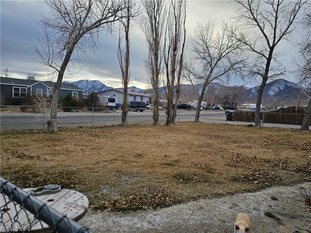 24 Dixie Court, Round Mountain, Nevada image 2