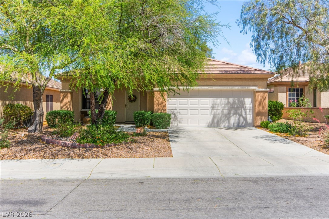 2880 Goldcreek Street