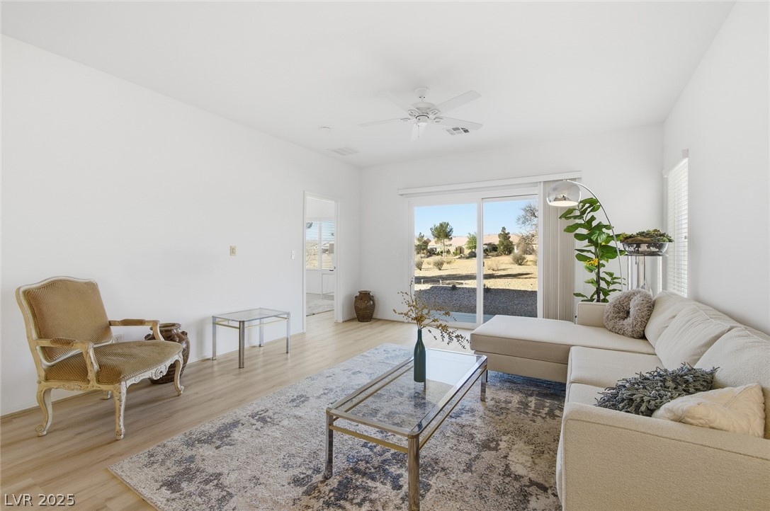 7813 Homing Pigeon Street