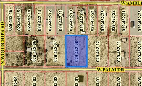 2320 Palm Drive Pahrump NV 89060