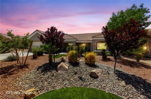 Active Adult 55 47 2509 Big Timber Drive Las Vegas NV 89134