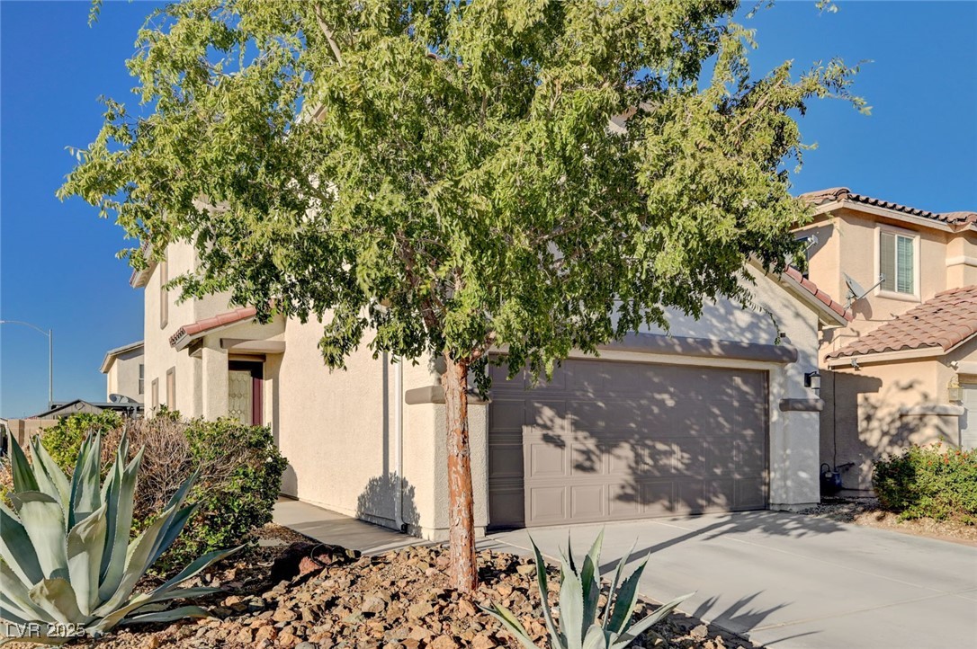 6276 Canebrake Court