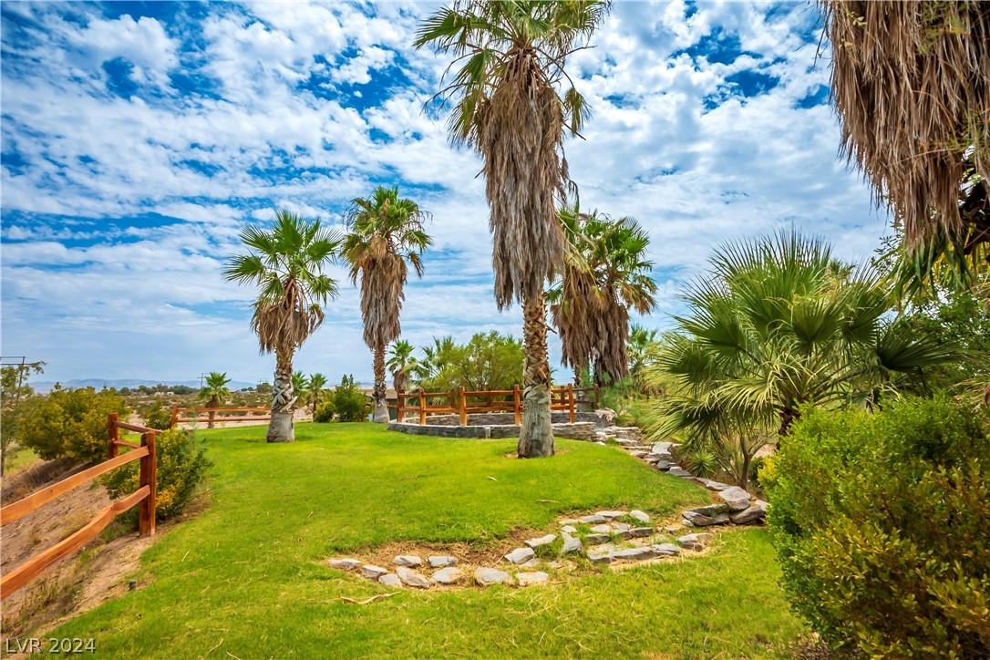 2417 E Anvil Road, Amargosa Valley, Nevada image 45