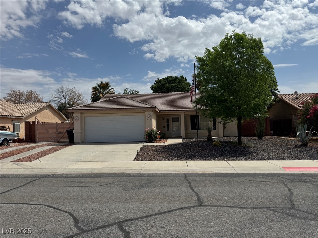 228 Hiawatha Way, Mesquite, Nevada image 1