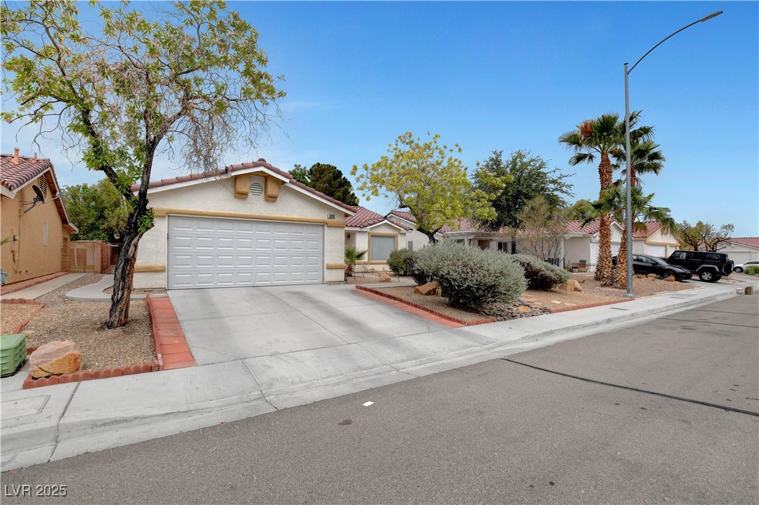 5220 Shasta Daisy Street