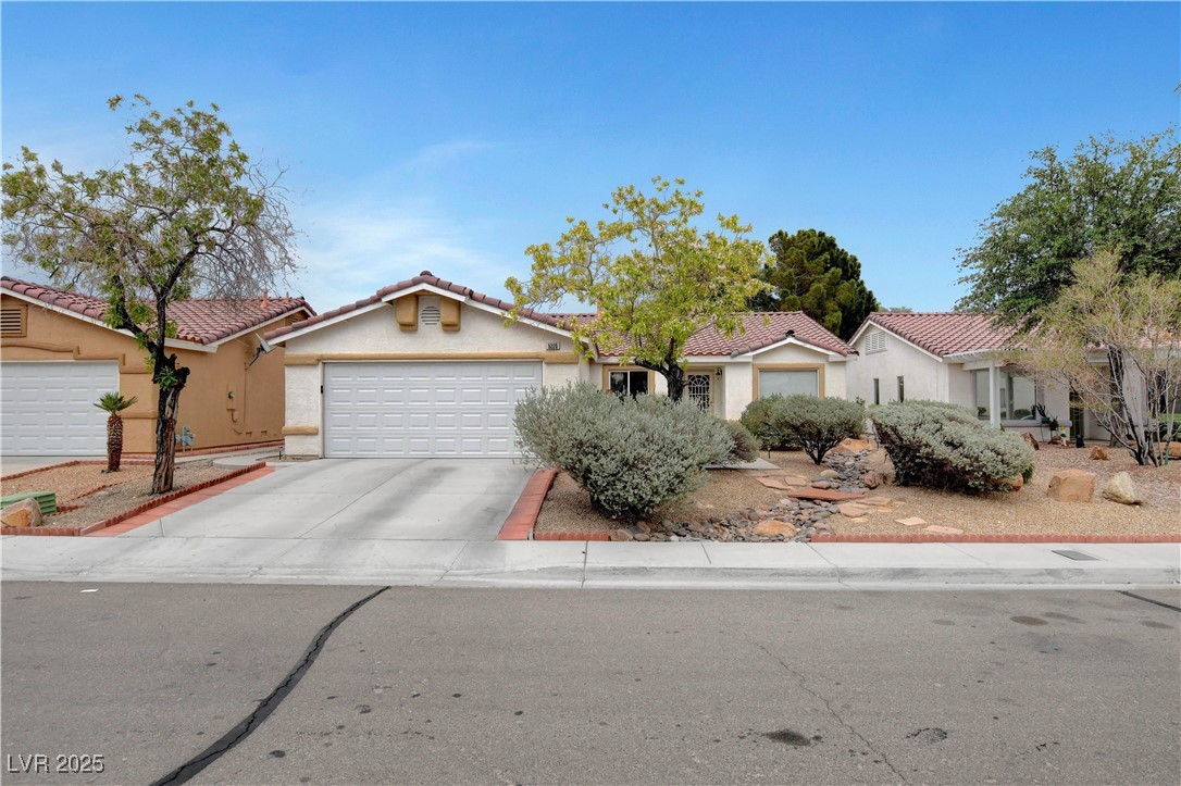 5220 Shasta Daisy Street