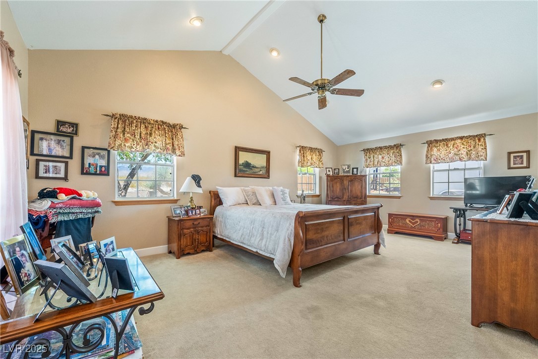 3640 E Vineyard Drive, Pahrump, Nevada image 20