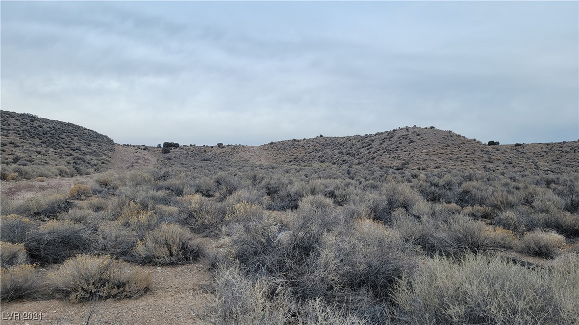 Gordena Lane, Caliente, Nevada image 3