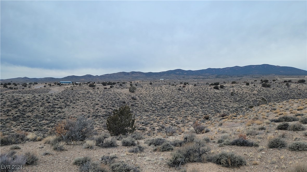 Gordena Lane, Caliente, Nevada image 22