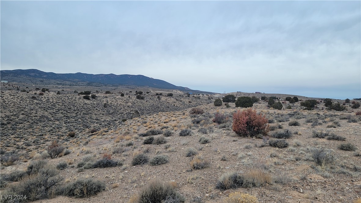 Gordena Lane, Caliente, Nevada image 19