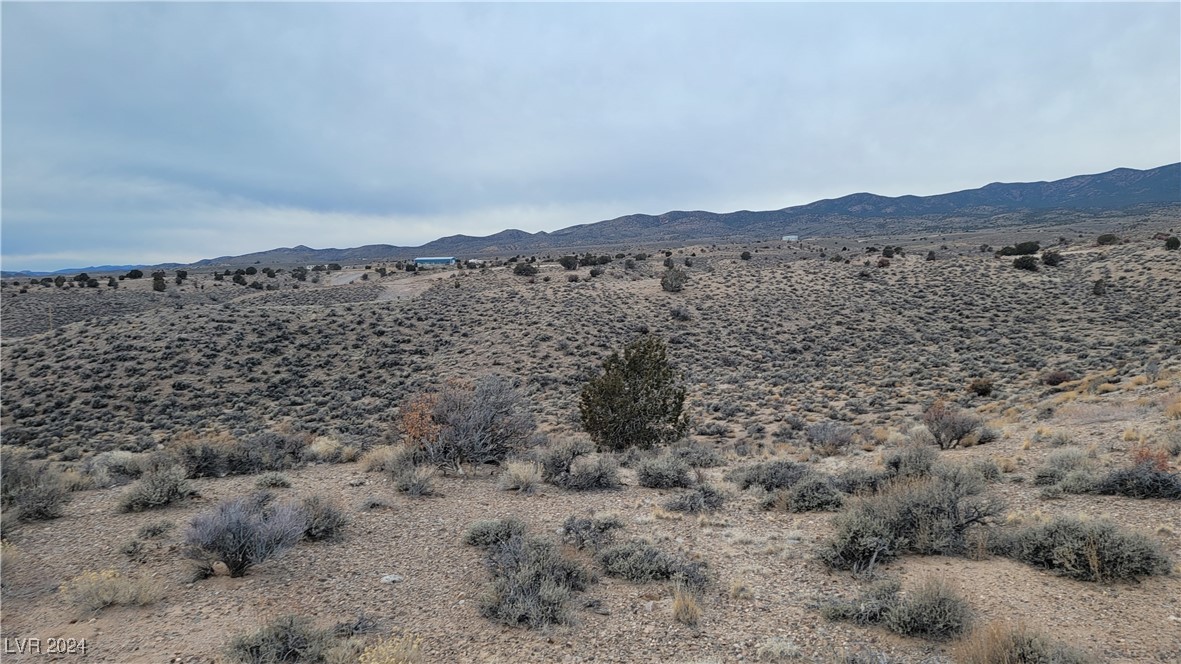Gordena Lane, Caliente, Nevada image 17