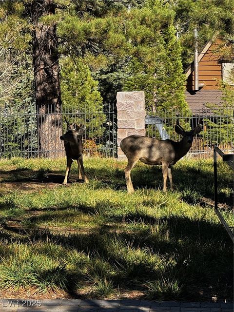 Tiny photo for 4834 Knotty Pine Way, Mount Charleston, NV 89124 (MLS # 2728732)