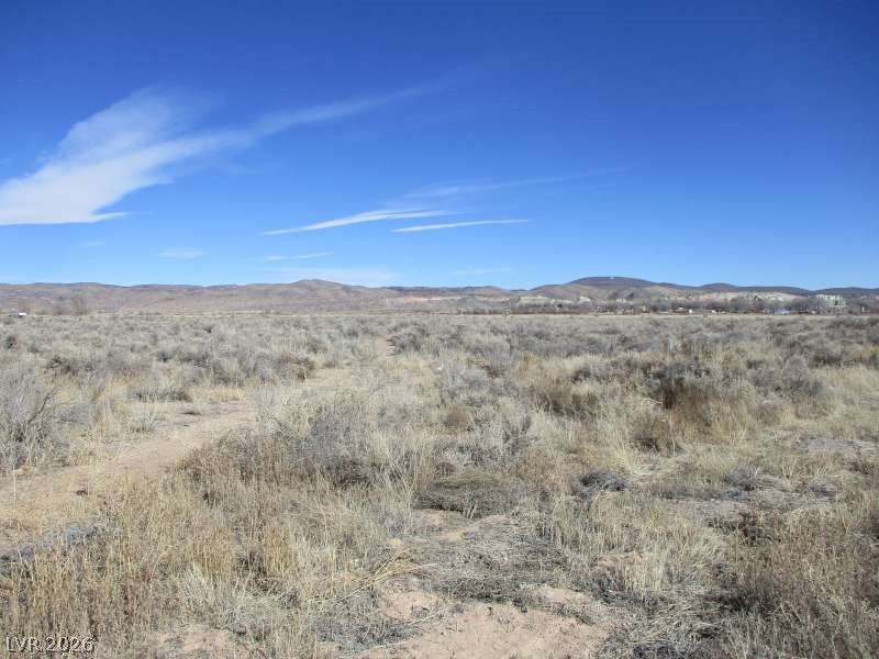 NV Hwy 319 (8.9 Ac)