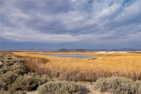 Tiny photo for 5770 S Peterson Road, Amargosa Valley, NV 89020 (MLS # 2742873)