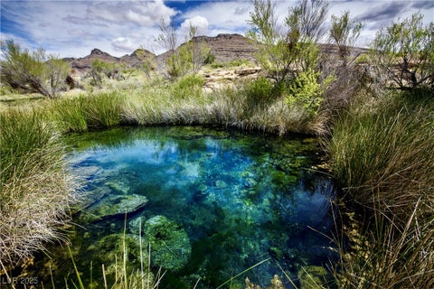 Tiny photo for 5770 S Peterson Road, Amargosa Valley, NV 89020 (MLS # 2742873)