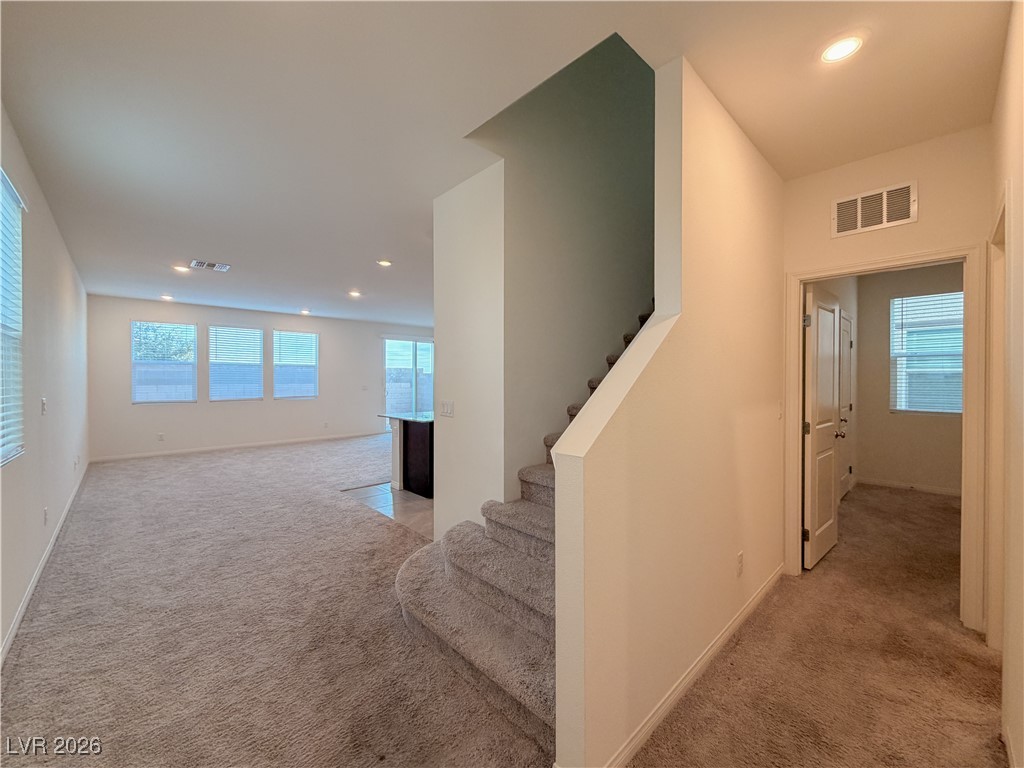 6978 Dandelion Park Avenue