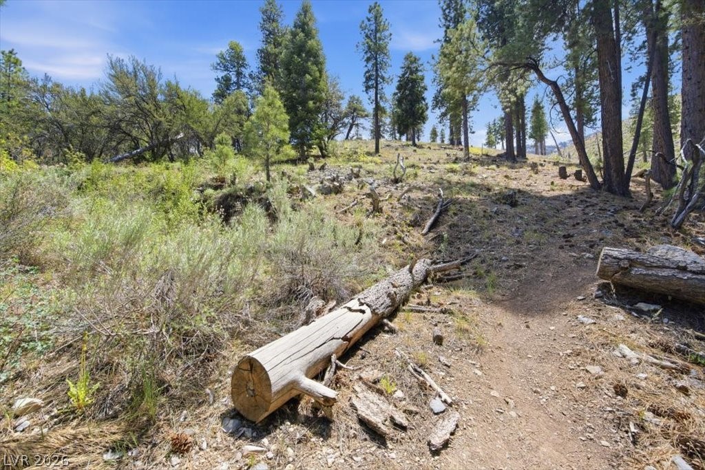3953 Ski Trail Circle