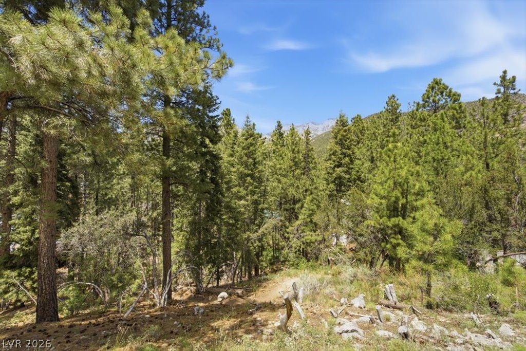 3953 Ski Trail Circle