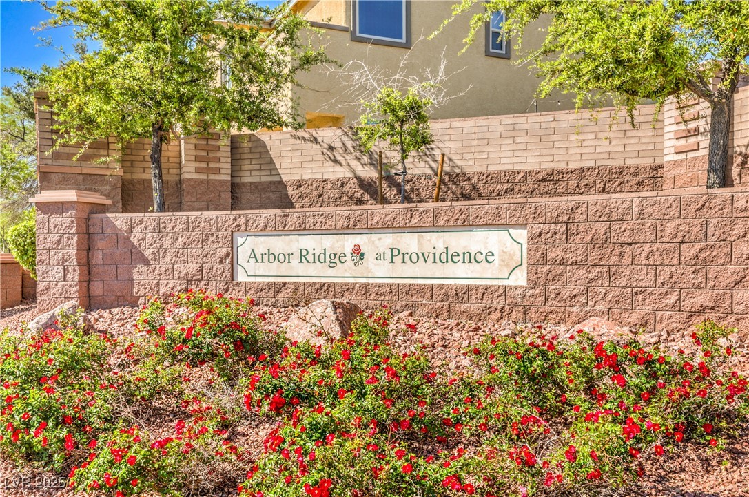 10309 Jolly Hill Avenue, Las Vegas, Nevada image 38