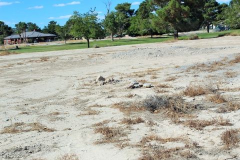 2990 S PEBBLE BEACH Avenue Pahrump NV 89048