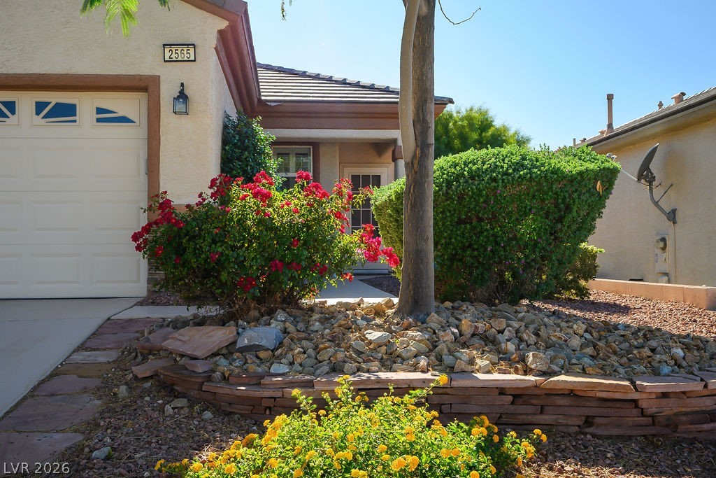 2565 Cosmic Dust Street