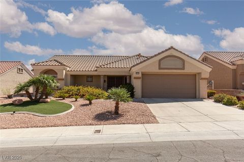 Photo of 9705 Blue Bell Drive, Las Vegas, NV 89134 (MLS # 2743369)