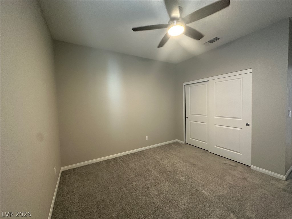 10404 Candelabra Cactus Street