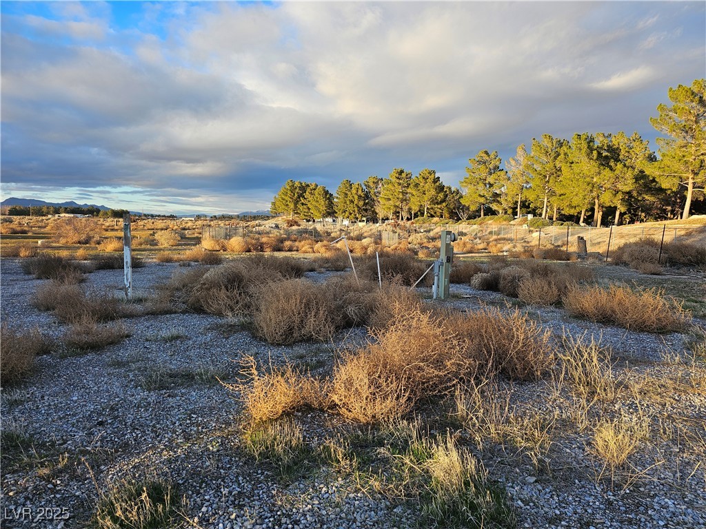 2710 Thousandaire Boulevard, Pahrump, Nevada image 5