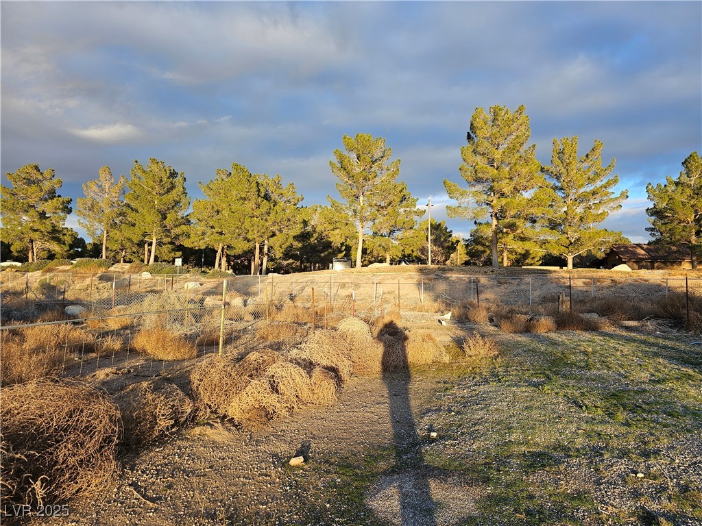 2710 Thousandaire Boulevard, Pahrump, Nevada image 6