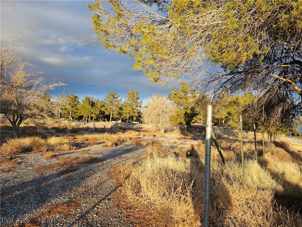 2710 Thousandaire Boulevard, Pahrump, Nevada image 4