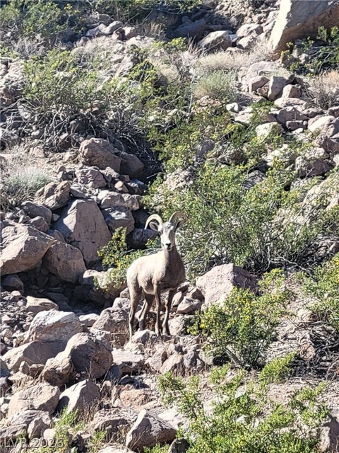 Tiny photo for 131 Cabo Cruces Drive, Henderson, NV 89011 (MLS # 2781182)