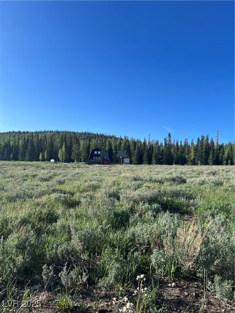 Vacant Land For Sale - 2133 E 2100 S<br/> Brian Head, UT 84719