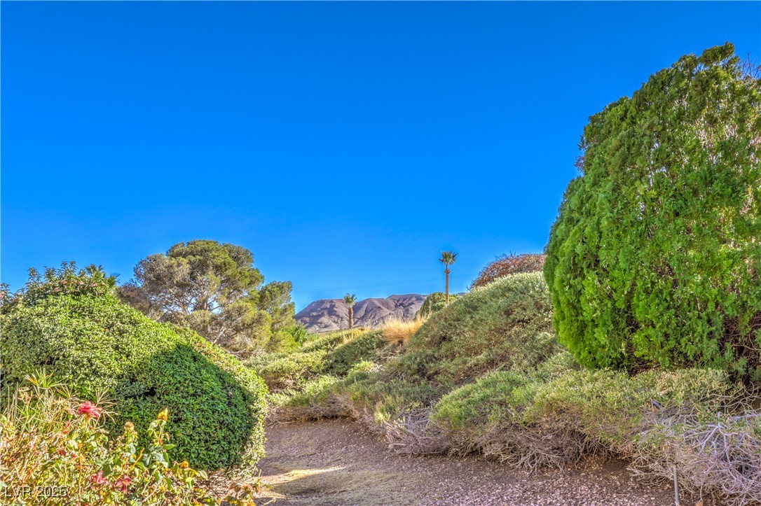 536 Greenbriar Place, Boulder City, Nevada image 39