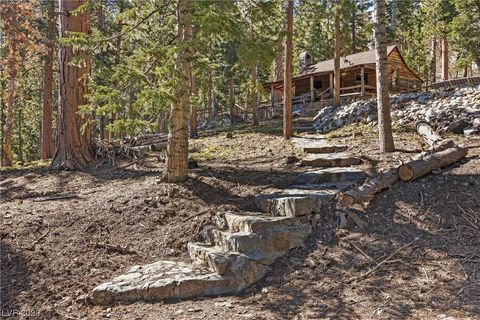 Photo of 585 Snow Fall Trail, Mount Charleston, NV 89124 (MLS # 2497110)