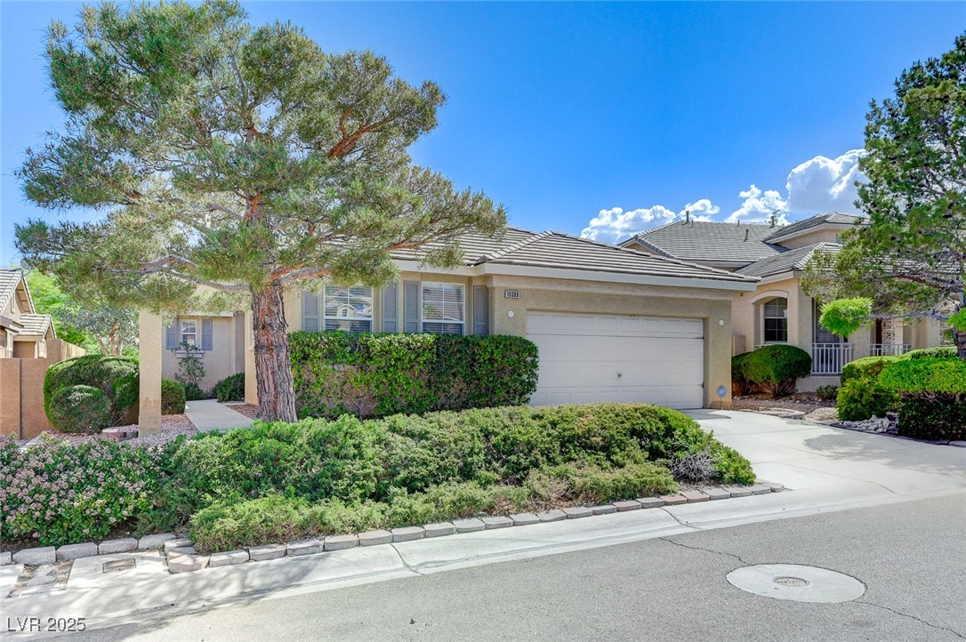 10389 Walking View Court