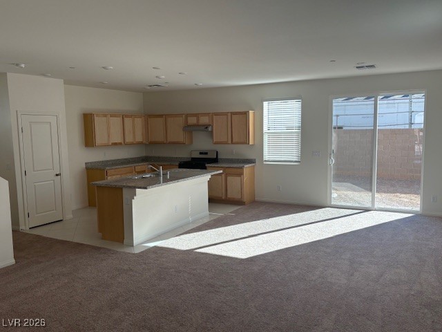 3879 Riley Rose Avenue