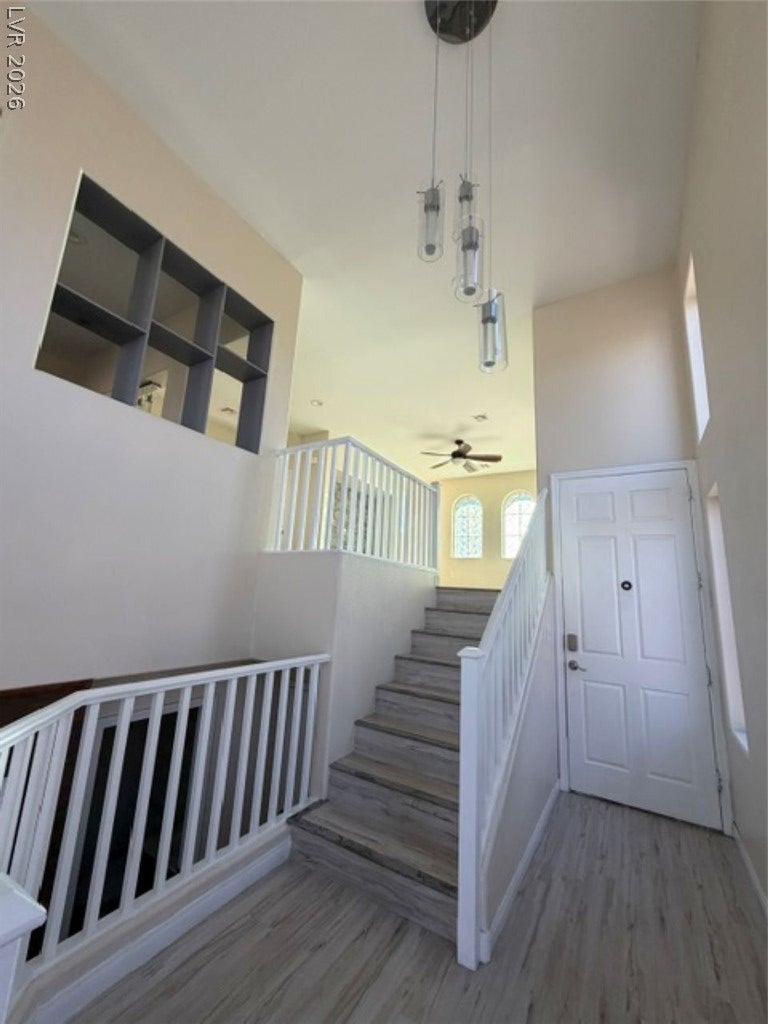 10497 Mandolina Hills