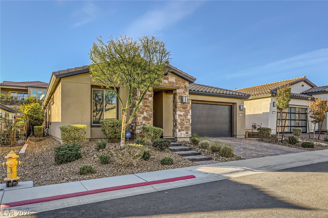 53 Stone Yucca Court