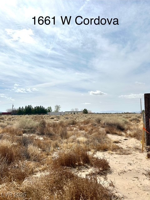 1661 W Cordova Pl, Pahrump, Nevada image 2