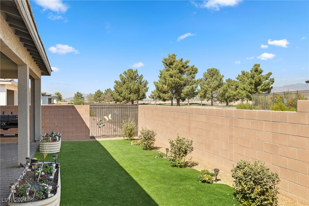 4484 E Cactus Canyon Drive, Pahrump, Nevada image 38