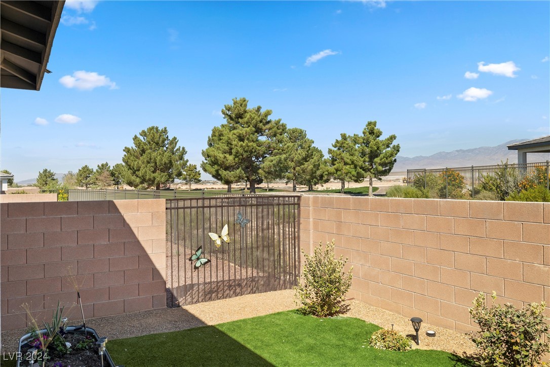 4484 E Cactus Canyon Drive, Pahrump, Nevada image 39