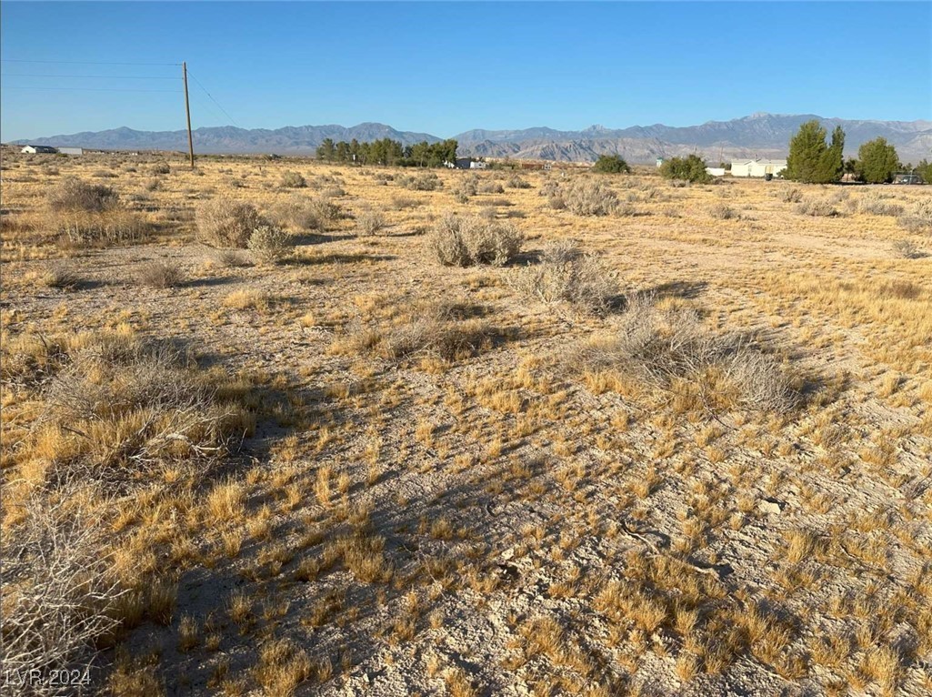 1950 E Fuchsia Street, Pahrump, Nevada image 17