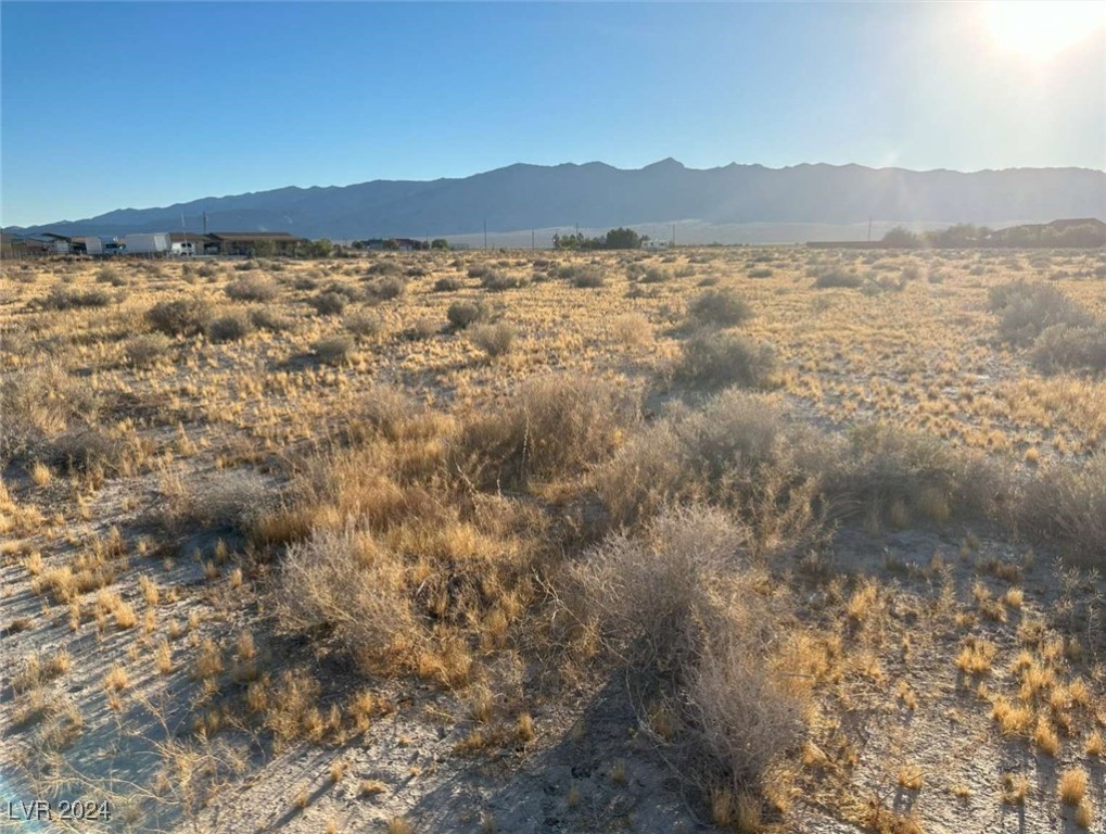 1950 E Fuchsia Street, Pahrump, Nevada image 9