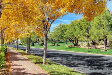 Tiny photo for 29 Montelago Boulevard #206, Henderson, NV 89011 (MLS # 2773796)