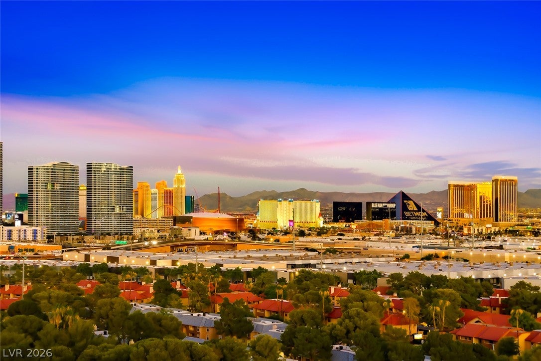 4381 W Flamingo Road 1221