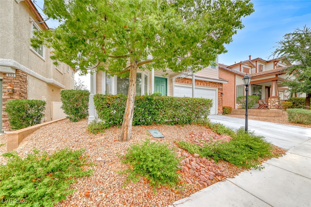 989 Sparkling Light Street