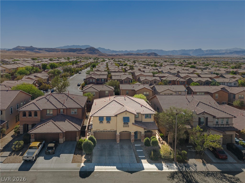 11175 Ash Mountain Street