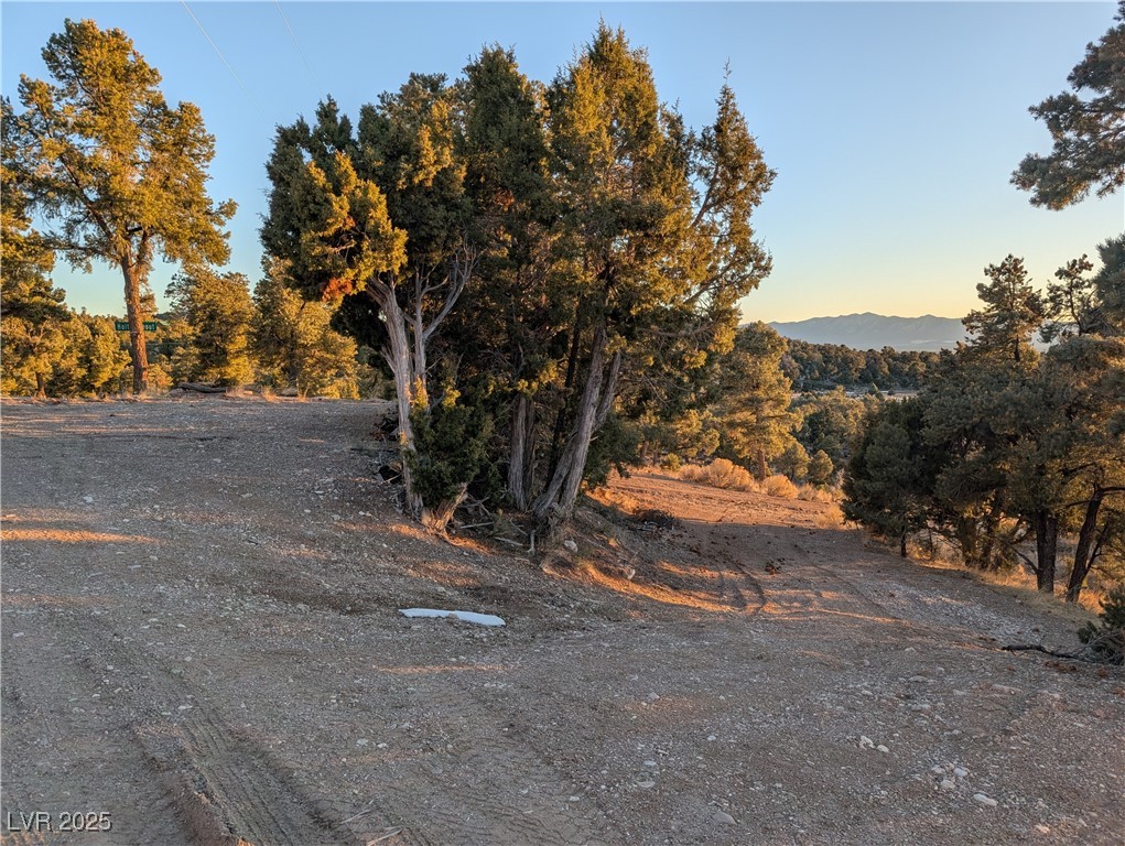 20996 Pinion Pine Road, Pioche, Nevada image 10
