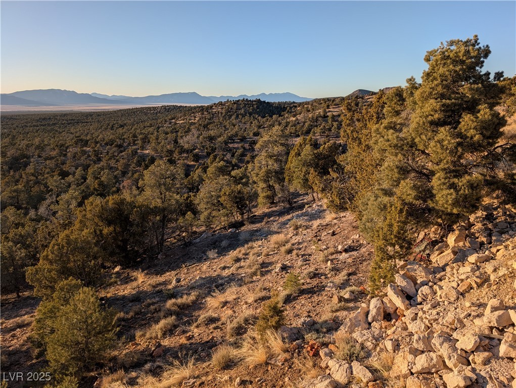 20996 Pinion Pine Road, Pioche, Nevada image 12